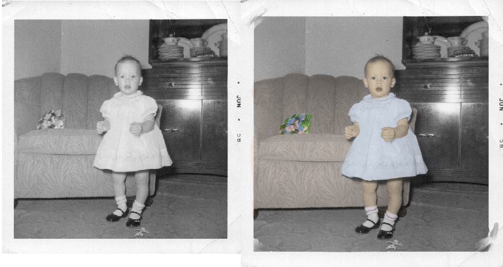 SOK Archives business image in Palos Park, IL